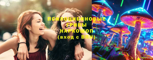 ПСИЛОЦИБИНОВЫЕ ГРИБЫ Володарск